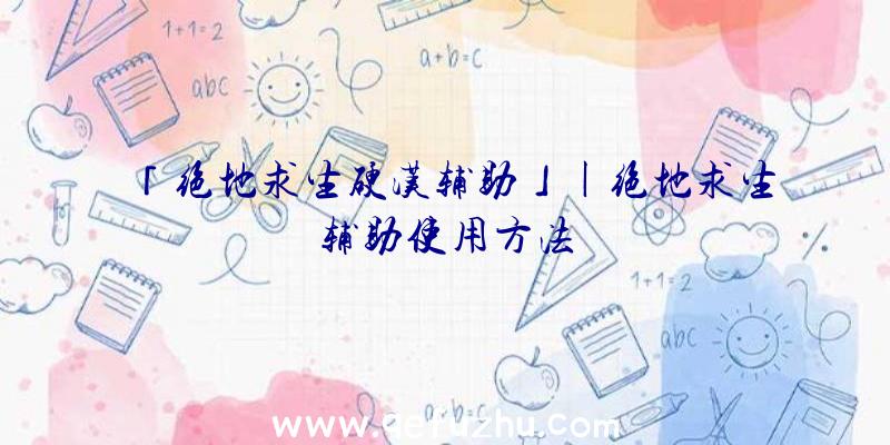 「绝地求生硬汉辅助」|绝地求生辅助使用方法